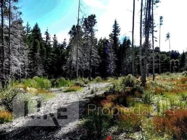 Terreno en venta sobre Avenida Bustillo, Bariloche