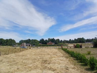 Lote en Los Muñecos - Avenida Córdoba, Bahía Blanca
