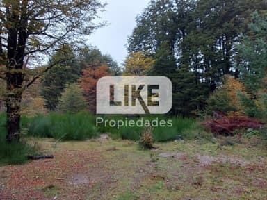 Terreno residencial de 1.500 m² en ruta 231, Villa La Angostura