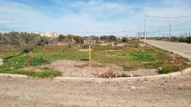 Tres lotes sobre Av. Musters